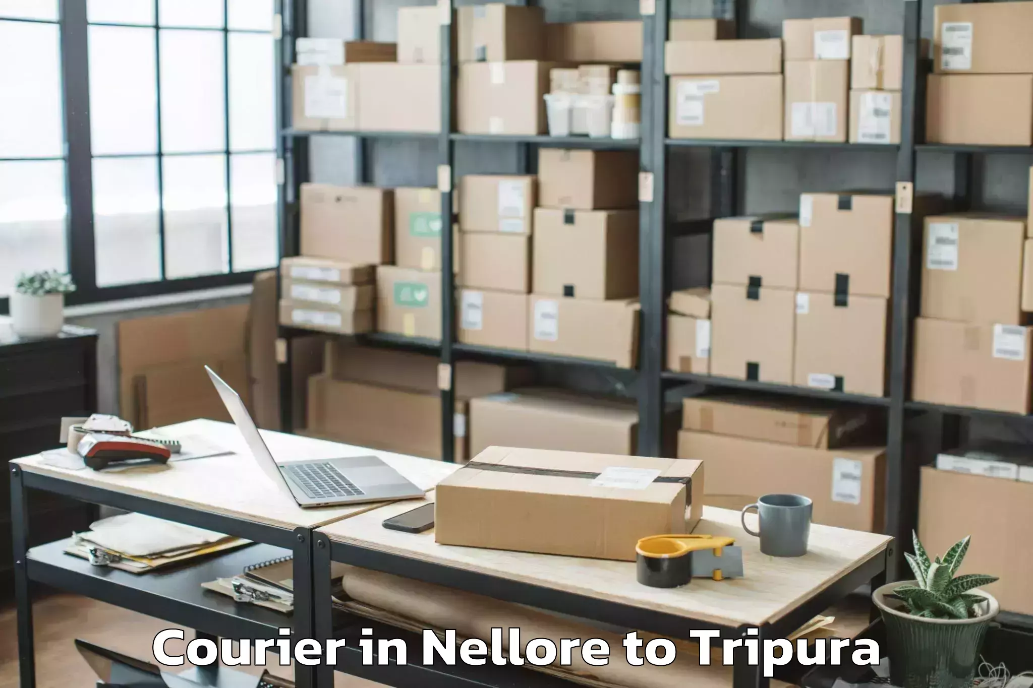 Top Nellore to Jirania Courier Available